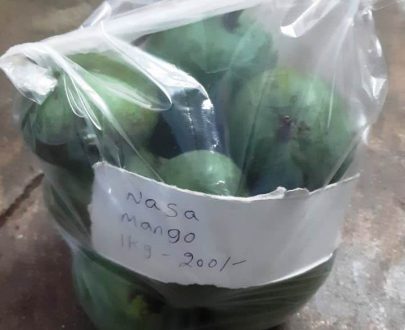 Nasa Mango small