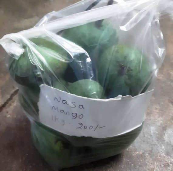 Nasa Mango small