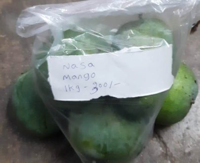 Nasa Mango