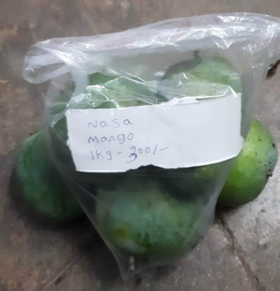 Nasa Mango